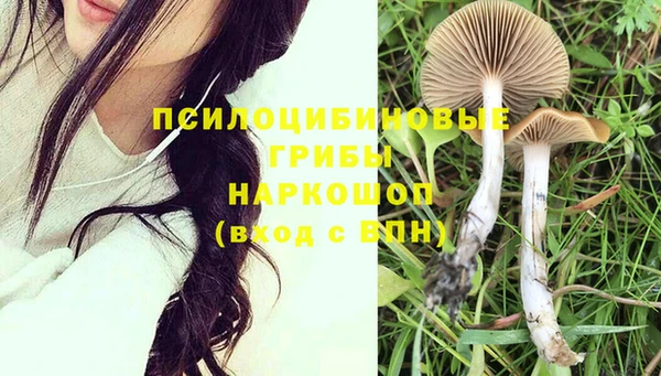 эйфоретик Абинск
