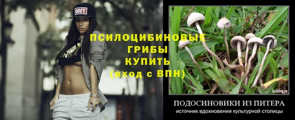 эйфоретик Абинск