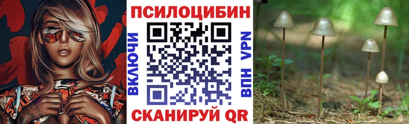Галлюциногенные грибы мицелий  Элиста 