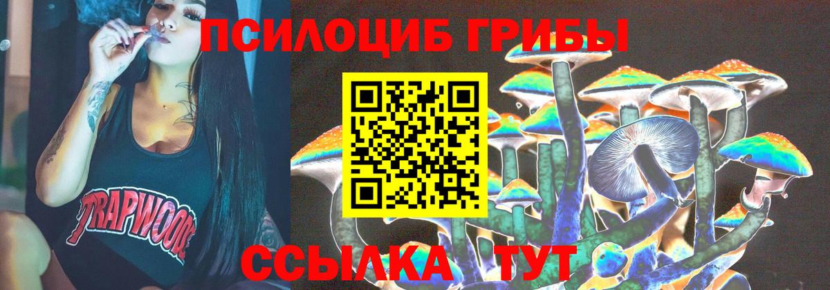 Галлюциногенные грибы Psilocybe Элиста