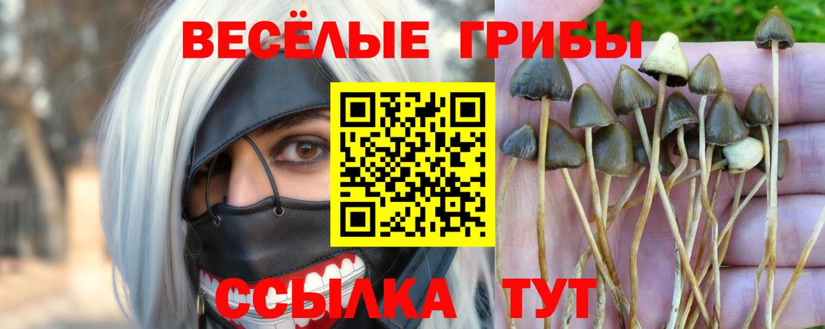 Галлюциногенные грибы ЛСД  Псилоцибиновые грибы Cubensis  Элиста  Вход с VPN 